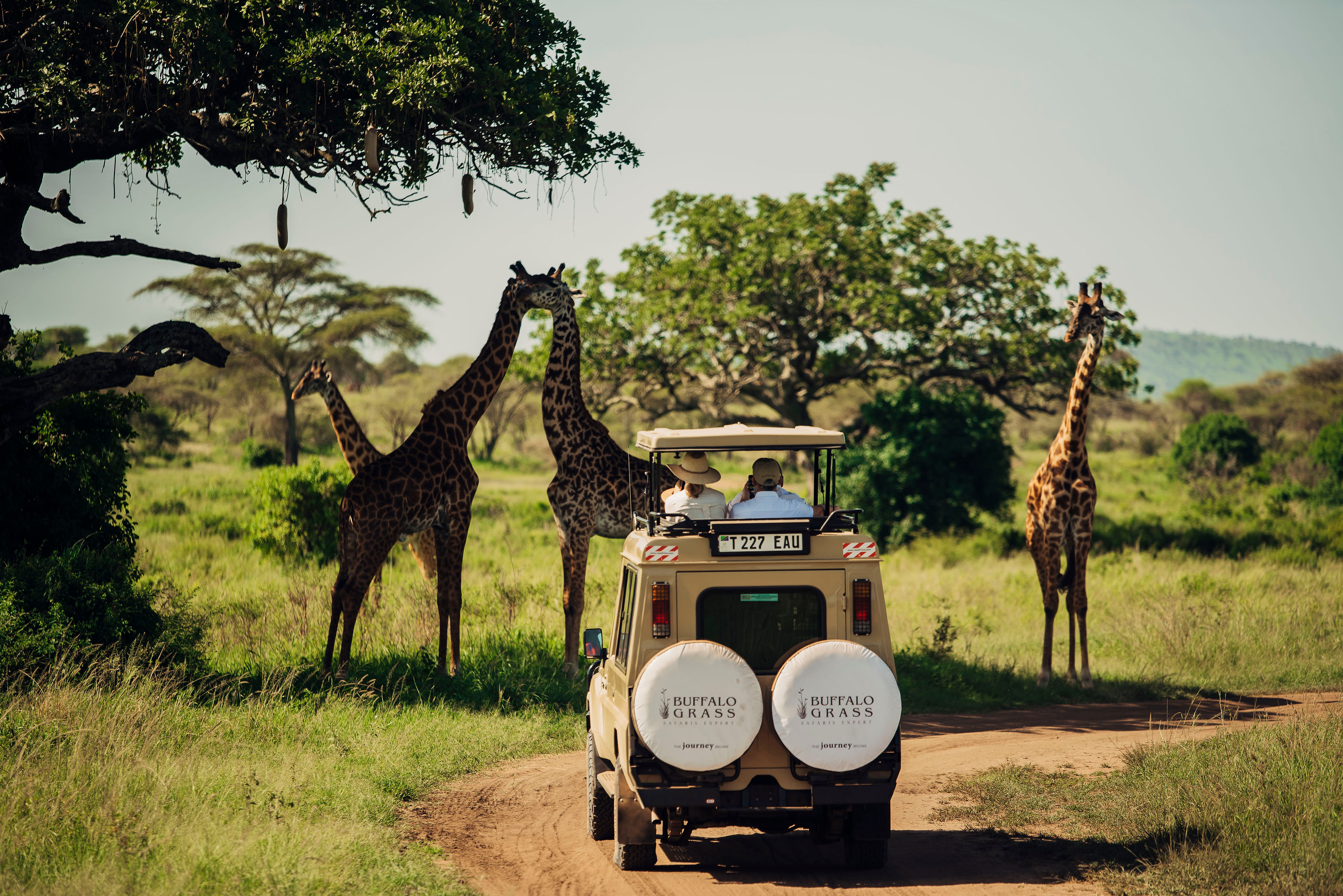 Zanzibar beach photo